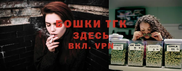 спайс Богданович