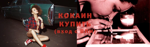 тгк Богородицк