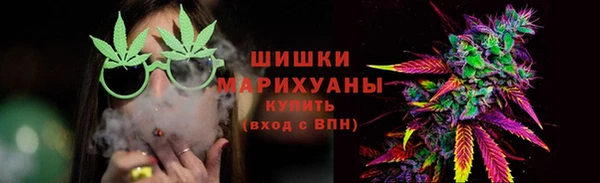 тгк Богородицк