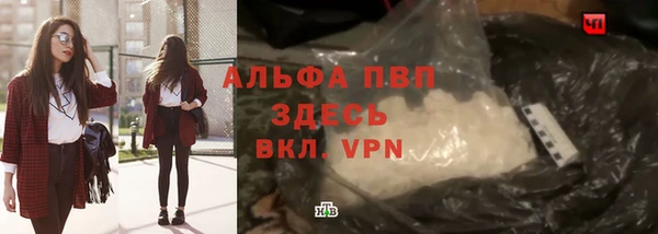 тгк Богородицк