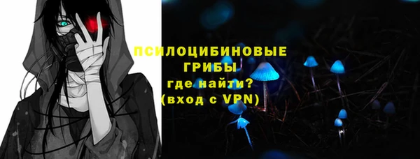спайс Богданович
