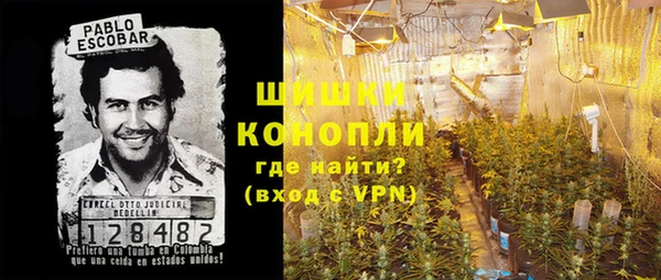 хмурый Богородск