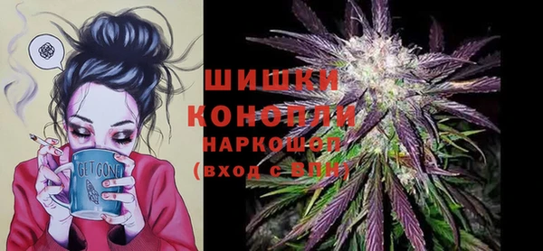 тгк Богородицк