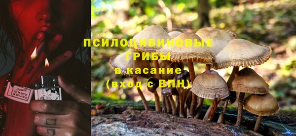 спайс Богданович