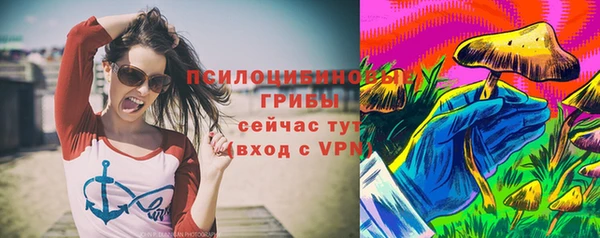спайс Богданович