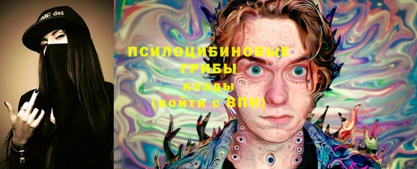 спайс Богданович