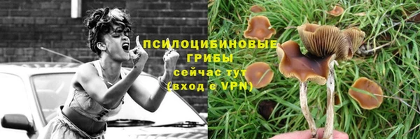 тгк Богородицк
