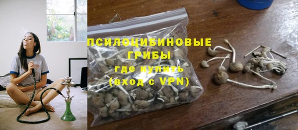 хмурый Богородск